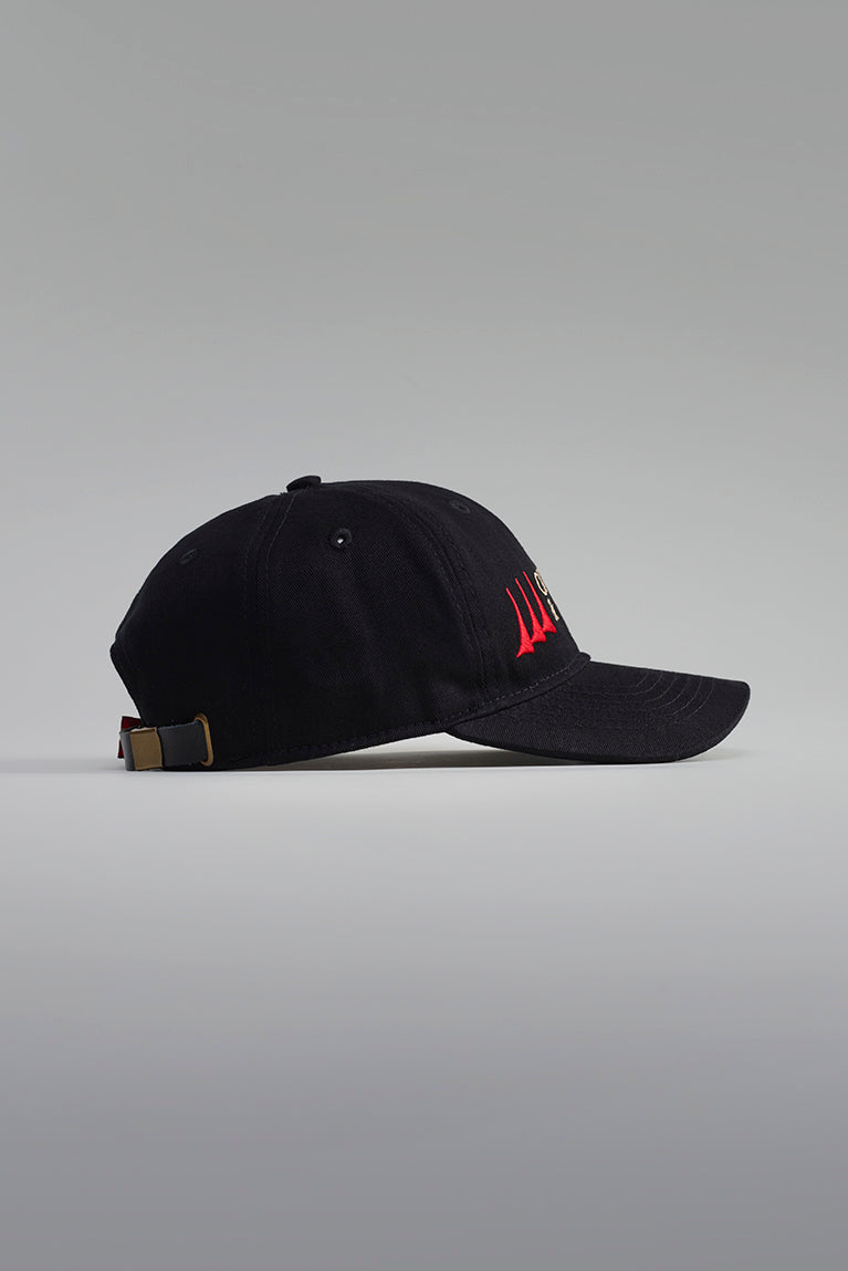 Partnership Dad Hat